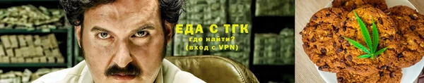 крисы Абаза