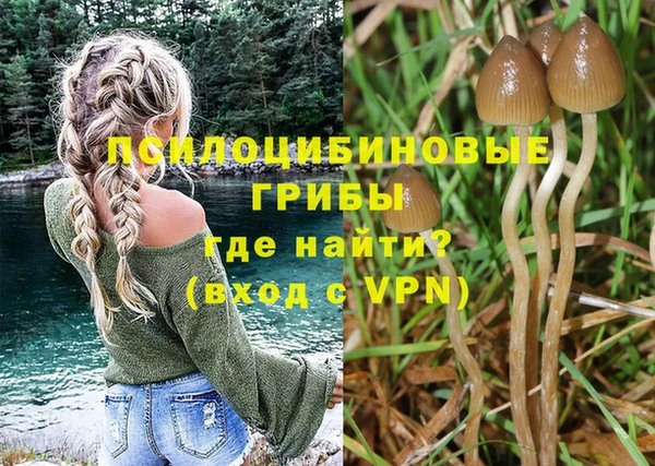 ешки Алексин