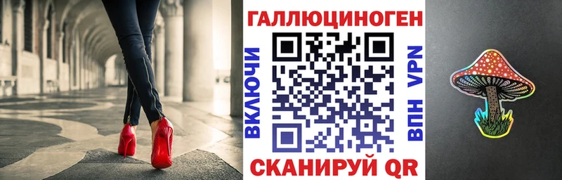 наркота Питкяранта Галлюциногенные грибы Magic Shrooms